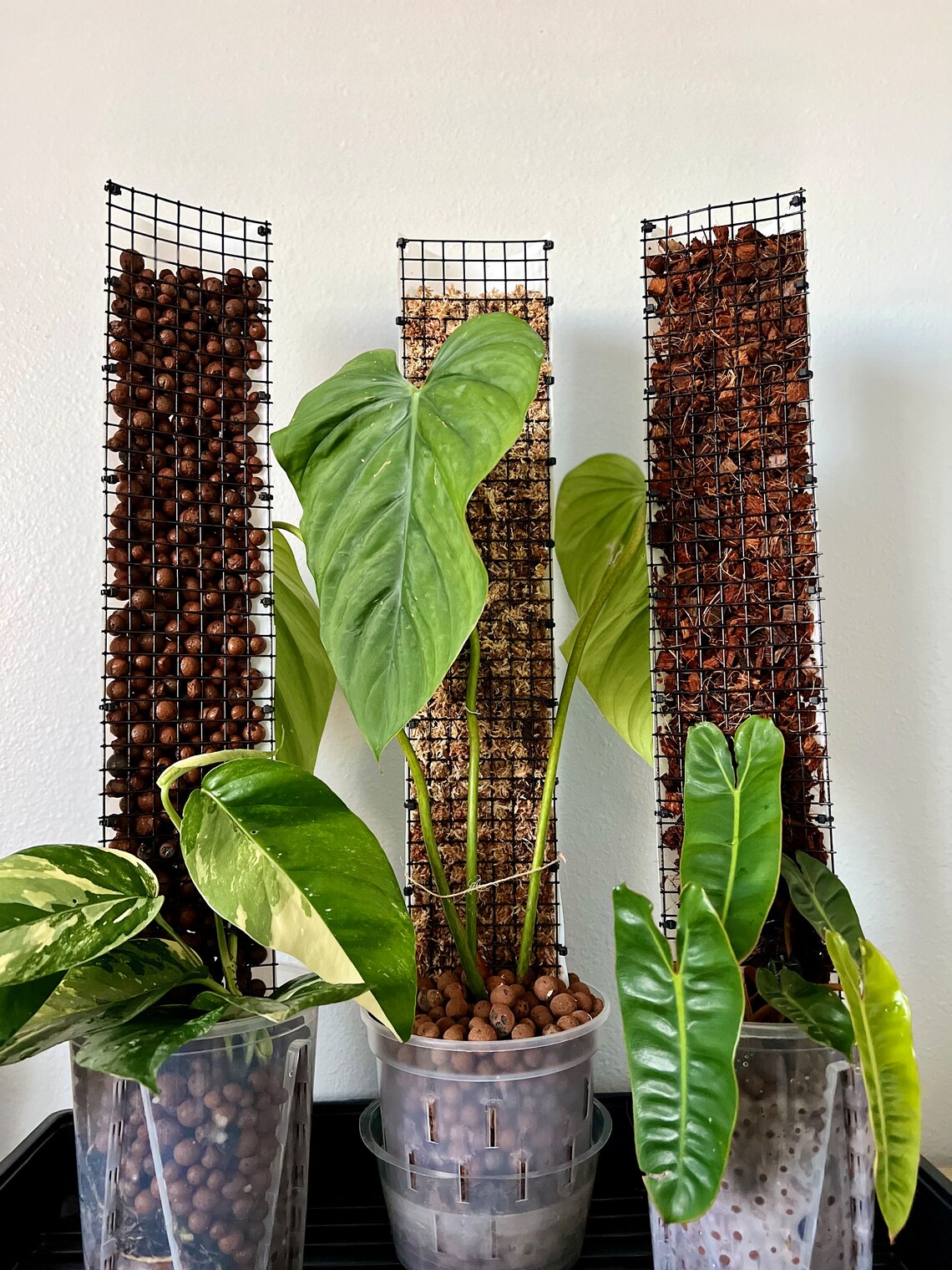 Plant Support Pole Half Etsy