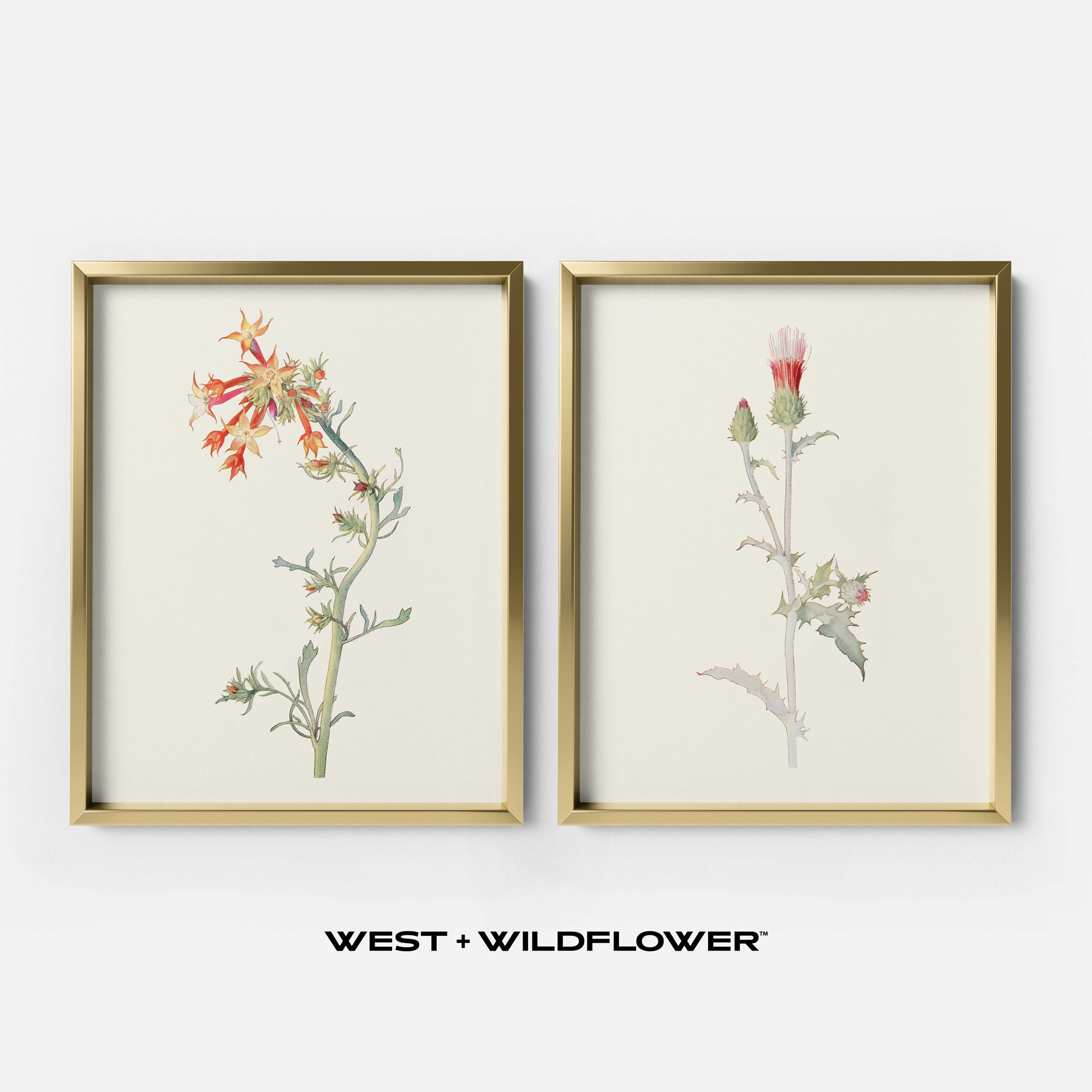 Antique Japanese Flowers WoodPrint, Butterfly, Rose c. 1830