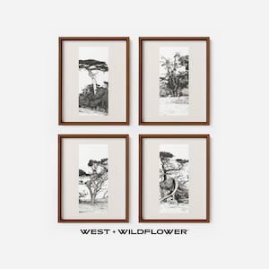 Vintage Galerie Wand Print SET von 4, Baum Skizzen Radierungen druckbare Downloads, Landschaft herunterladbare Kunst, Natur Home Decor Kunstwerk, S4-2