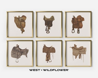 Vintage Pferdekunst, Reitkunst, Tierkunst, Pferdedrucke, Pferdekunst, Reitkunst, Western Dekor, Satteldrucke, S6-3