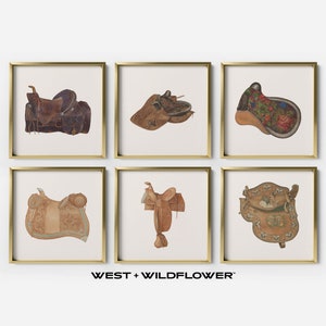 Vintage Equestrian Art, Equestrian Art, Animal Art, Horse Prints, Horse Art, Horseback Riding Art, Western Decor, Saddle Prints, S6-4