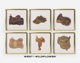 Vintage Pferdekunst, Reitkunst, Tierkunst, Pferdedrucke, Pferdekunst, Reitkunst, Western Dekor, Satteldrucke, S6-4