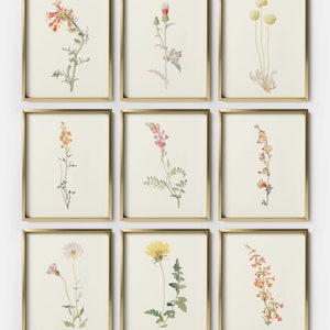 Collection d'estampes botaniques vintage, ensemble de 9 estampes florales à l'aquarelle antique, art mural botanique rustique, peintures florales, S9-2