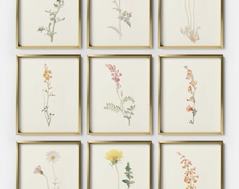 Collection of Vintage Botanical Prints, Set of 9 Antique Watercolor Floral Prints, Rustic Botanical Wall Art, Floral Paintings, S9-2