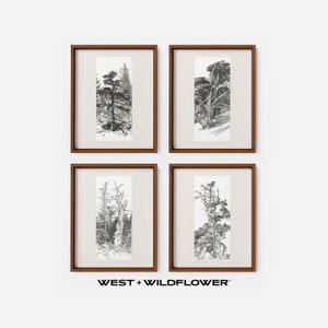 Vintage Galerie Wand Druck SET von 4, Baum Skizzen Radierungen druckbare Downloads, Landschaft herunterladbare Kunst, Natur Home Decor Kunstwerk, S4-4