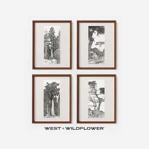 Vintage Galerie Wand Druck SET 4, Baum Skizzen Radierungen druckbare Downloads, Landschaft herunterladbare Kunst, Natur Home Decor Kunstwerk, S4-3