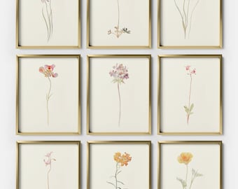 Collection of Vintage Botanical Prints, Set of 9 Antique Watercolor Floral Prints, Rustic Botanical Wall Art, Floral Paintings, S9-3