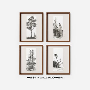 Vintage Galerie Wand Print SET von 4, Baum Skizzen Radierungen druckbare Downloads, Landschaft herunterladbare Kunst, Natur Home Decor Kunstwerk, S4-1