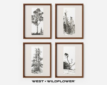 Zestaw 4 wydruków ściennych Vintage Gallery, szkice drzew, akwaforty do pobrania, sztuka do pobrania krajobrazu, dekoracje domowe w naturze, S4-1