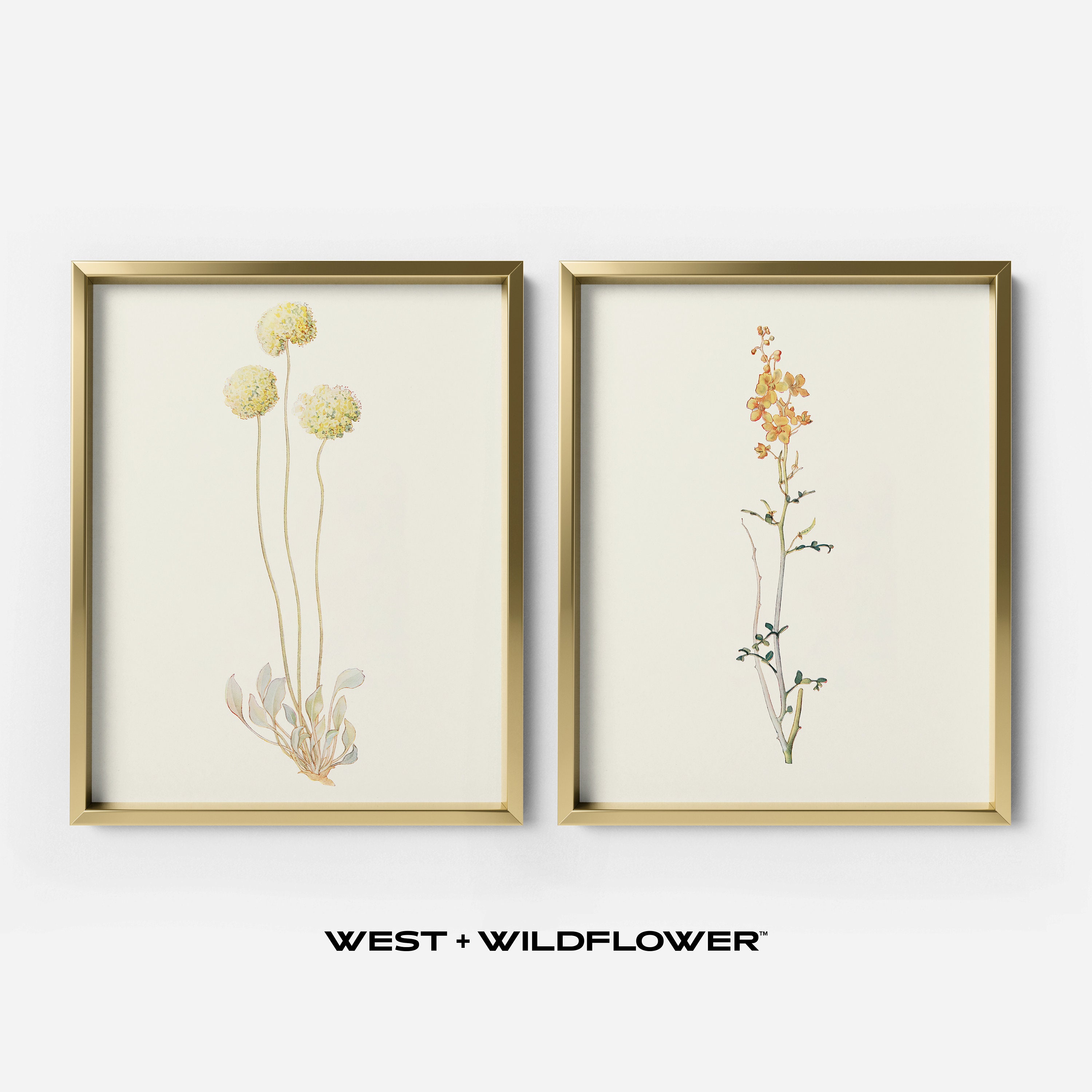 Antique Flowers Prints, Floral Gallery Wall Set of 9 Prints
