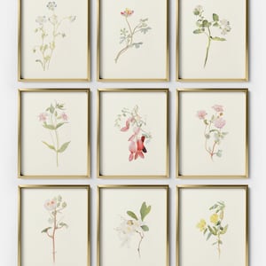 Collection d'estampes botaniques vintage, lot de 9 aquarelles antiques, marché floral, art mural botanique rustique, peintures florales, S9-4