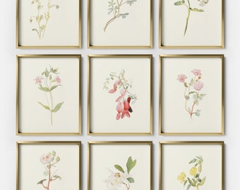 Collection of Vintage Botanical Prints, Set of 9 Antique Watercolor Floral Market, Rustic Botanical Wall Art, Floral Paintings, S9-4