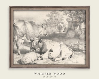 Farm Animals Vintage Drawing | Instant Download | 19th Century Illustration | Printable Wall Art | #144