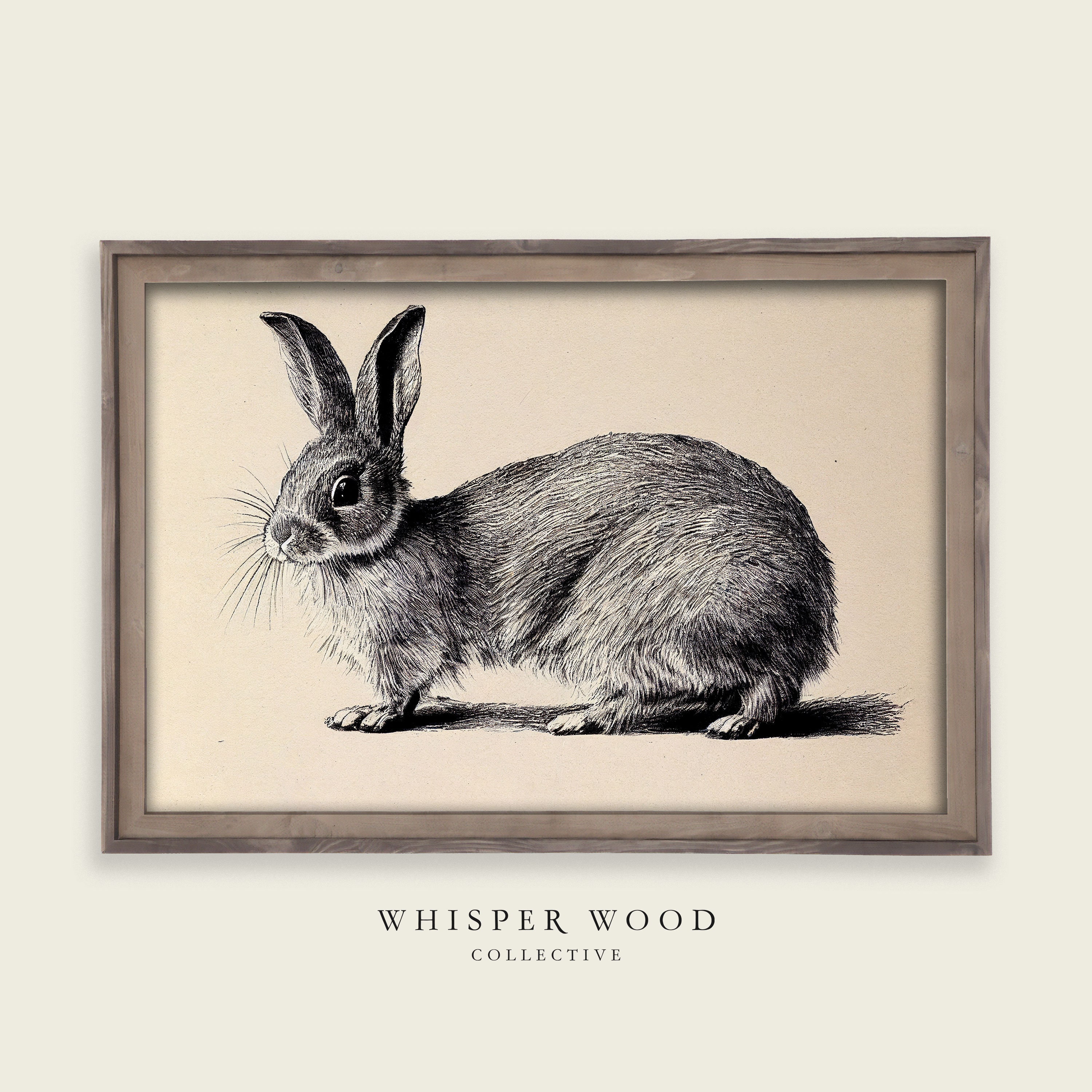 Rabbit Drawing | 1800s Style Animal Drawing | Warm Rustic Country Decor ...