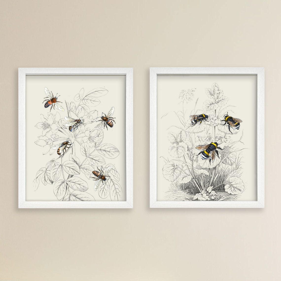 Antique Bee Print Set Vintage Illustration Digital Vintage - Etsy