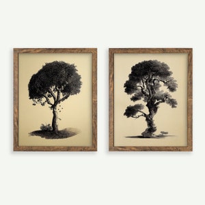 Tree Illustration Print Set | Vintage-Style Illustration | Digital Wall Art | Printable | Trees | Drawings | Downloadable | #S2-2