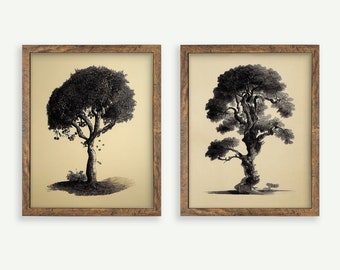 Tree Illustration Print Set | Vintage-Style Illustration | Digital Wall Art | Printable | Trees | Drawings | Downloadable | #S2-2