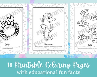 Páginas de libros para colorear bajo el mar / 10 páginas para colorear imprimibles de animales marinos con datos educativos divertidos / Para niños, adolescentes, niños y niñas