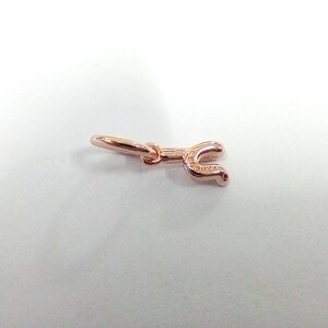 Puede incluir: Un charm de herradura de oro rosa con un pequeño lazo para sujetarlo a una pulsera o collar. El charm tiene un diseño tridimensional detallado, con un acabado pulido. La herradura es un símbolo de buena suerte.