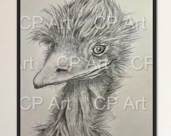 Emu, ORIGINAL, A3, pencil drawing, ostrich, animal, bird, art, signed, safari, pet, unique, quirky, look, gift