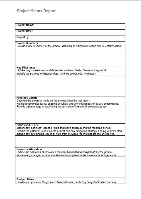 Project Status Report Digital Template For Managers I Word Editable Printable I Project Management Tracking Evaluation I Instant Download