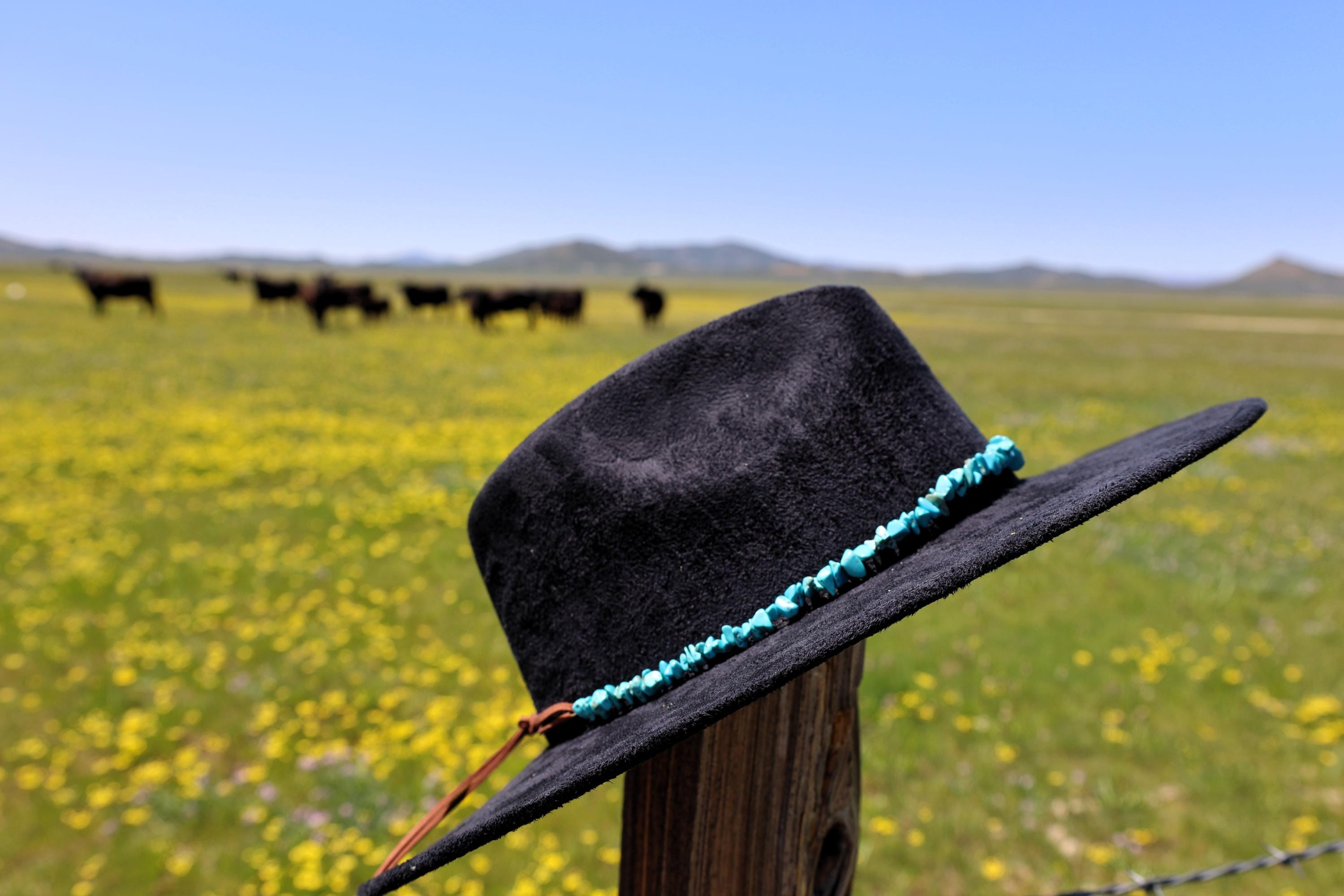 Turquoise Chip Bead Adjustable Hatband
