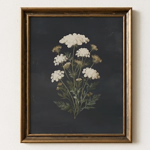 Vintage Floral Printable Wall Art Rustic Botanical Flower Art Queen Annes Lace Wall Decor Farmhouse Style Flower Print Neutral Black Art