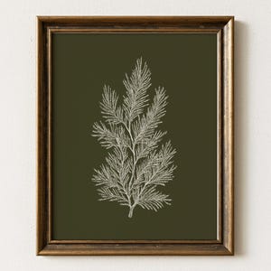 May include: A framed botanical print showing a detailed white illustration of a fern-like plant against a dark green background. The artwork is encased in a brown wooden frame, creating a classic aesthetic. Suitable for home decor, the print is a stylish addition.