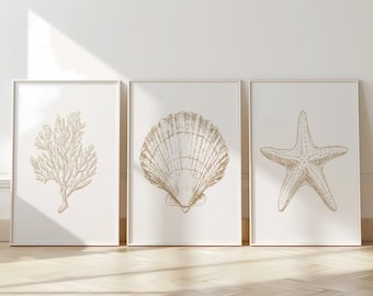 Puede incluir: Tres láminas de arte mural enmarcadas con dibujos de líneas en tono dorado de vida marina. La lámina izquierda muestra una rama de coral, la central una concha en forma de abanico y la derecha una estrella de mar sobre fondo blanco.