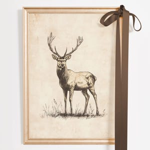 Stampa artistica da parete con cervo rustico, stampa di animali del bosco vintage, download digitale, decorazione da cabina, illustrazione antica della natura, stile lodge.