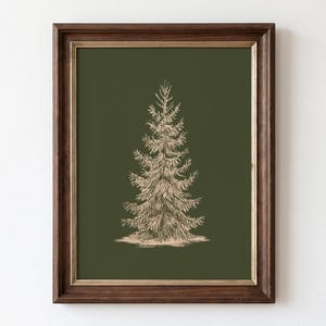 Puede incluir: Una pieza de arte mural enmarcada que presenta un dibujo lineal de un árbol conífero en color beige claro centrado sobre un fondo verde oliva oscuro sólido. La obra está encerrada en un marco de madera marrón oscuro con un borde interior dorado.