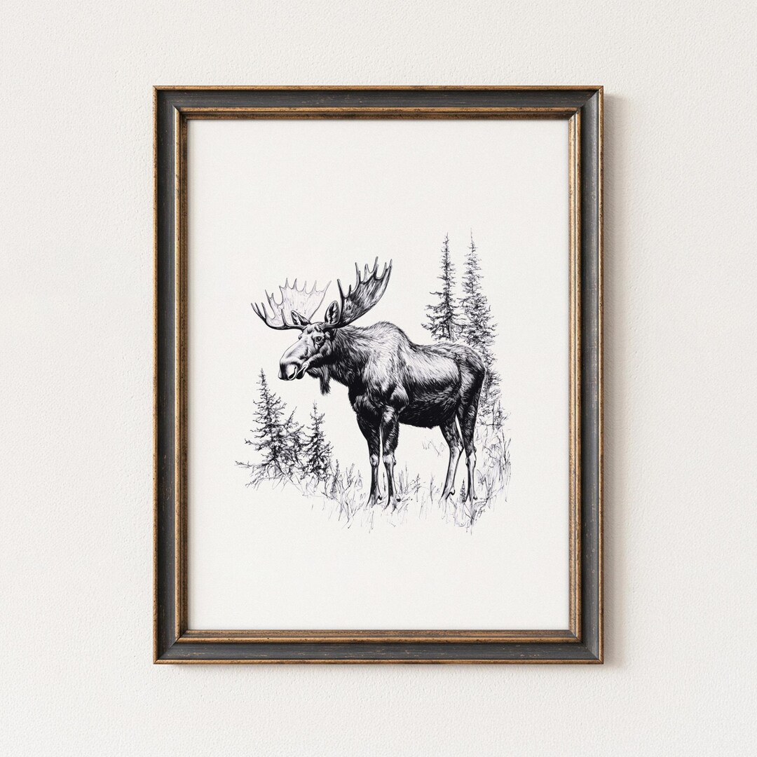 Moose Printable Wall Art Black and White Forest Animal Illustration ...