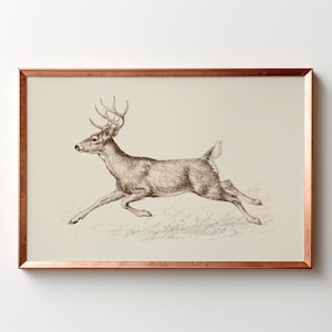 May include: A framed wall art print featuring a detailed brown ink sketch of a deer in motion. The deer is depicted running across a grassy field, captured in profile against a light cream background, enclosed within a thin metallic copper frame.