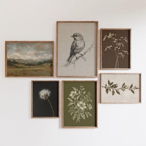 May include: A gallery wall set of six framed prints featuring a landscape painting, a charcoal bird sketch, a white floral sprig on brown, a dandelion seed head on black, a botanical flower bouquet on olive green, and a leafy branch illustration.
