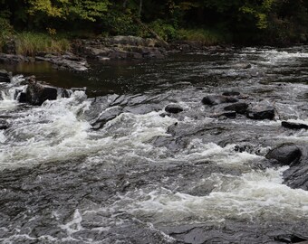 Downriver Rapids