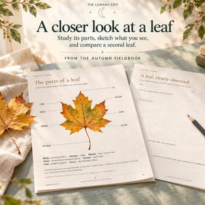 A printed leaf parts diagram with a real autumn leaf alongside a blank observation worksheet with a pencil.