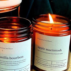 Beeswax Premium Candle 100% Non-Toxic | Clean Burn | Pet Safe | Coconut Wax | Essential oils | Aromatherapy | Summer Scents | USA Made