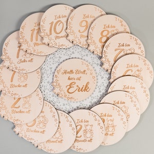 Meilensteine Erstes Jahr, Monatsscheiben Set, Niedliche Tierbilder, Handgezeichnet, Holz, Schwangerschaft, Babygeschenk, Geburt