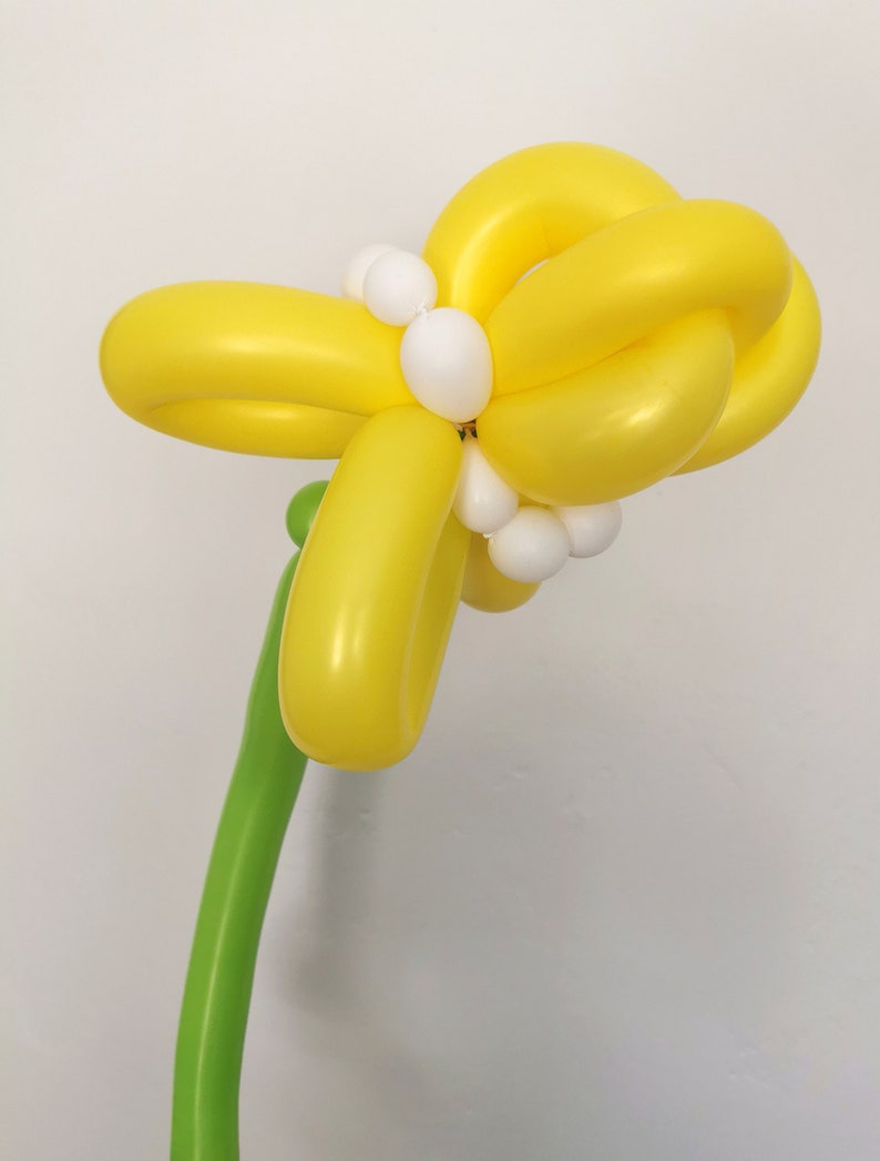 Balloon Flower Bouquet DIY Kit, Biodegradable Eco Professional Quality