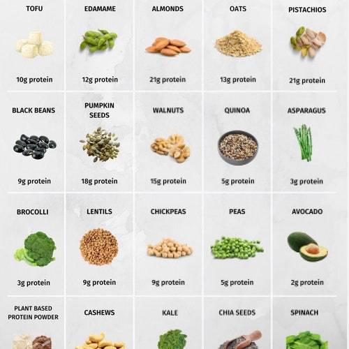 High Protein Foods Reference Chart PRINTABLE / INSTANT - Etsy