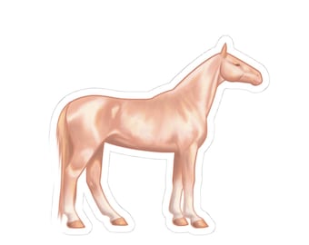 Akhal-Teke Horse, Horse Art, Horse Lover, Equestrian, Sticker, Laptop, Scrapbooking, vinyl, Rare Horse Breed