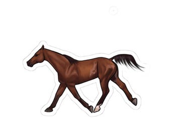 Famous Horses- Nobby, Endurance Horses, Arabian Horses, Horse Art, Horse Lover, Equestrian, Sticker, Laptop, Scrapbooking, vinyl