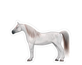 Arabian Horse-Flea Bitten, Horse Art, Horse Lover, Equestrian, Sticker, Laptop, Scrapbooking, vinyl