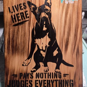 May include: Wooden sign with a black silhouette of a dog. The sign reads "LIVES HERE" above the dog and "= PAYS NOTHING = JUDGES EVERYTHING" below. The sign has a Desert Designs by TLC logo.
