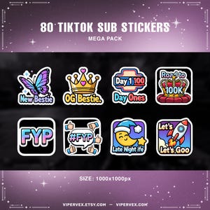 A graphic detailing the digital file specifications: 80 stickers, 1000x1000px size, PNG format, transparent background