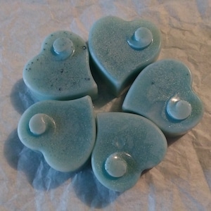 Wax Melts - 5 Pack