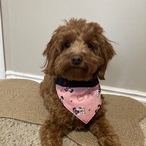Over the Collar Dog Bandana, Valentines Day, Dog Scarf,