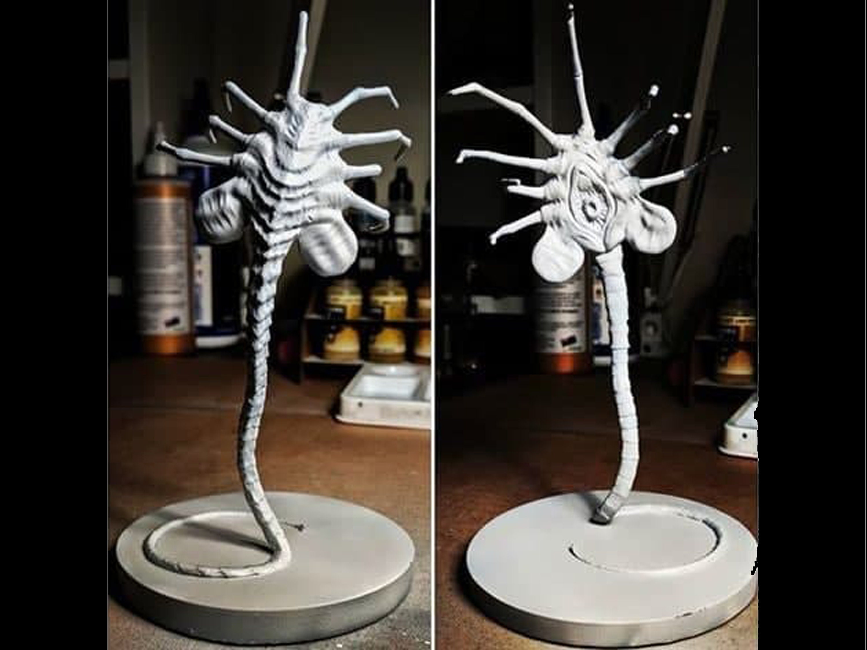Alien facehugger STL File 3D Digital Printing STL File Etsy