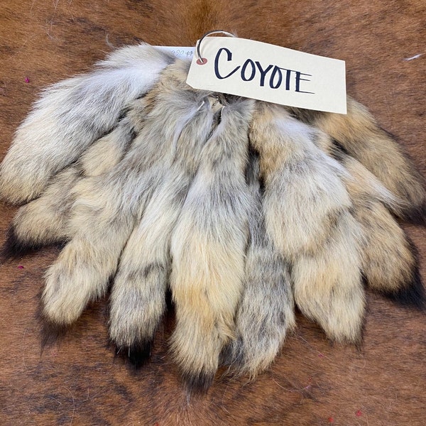 Coyote Fur tail