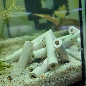 10 x Clay Tubes - Mini Shrimp Cave Hiding Place Decoration Tube - Nano Aquarium TOP